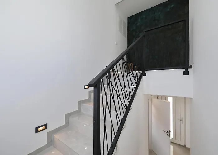 فيلة Beny فير